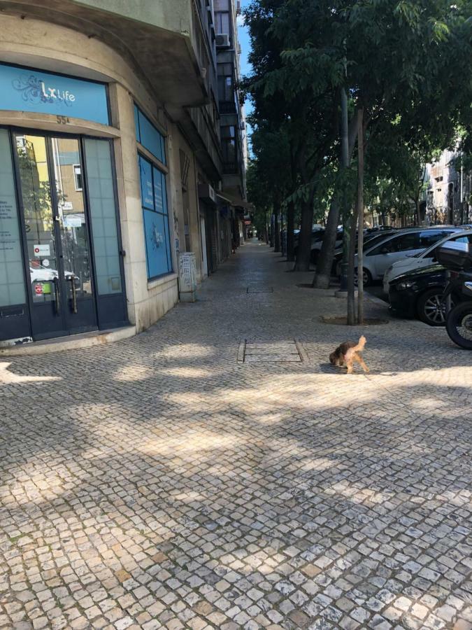 Lisboa 里斯本旅馆酒店 外观 照片